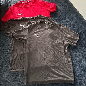 Puma Men's Short Sleeve Tees Set of 3 in Red and Gray size XL